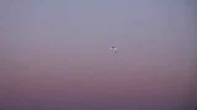 upgrade-your-night-flights-with-the-timber-x-evolution-rc-plane