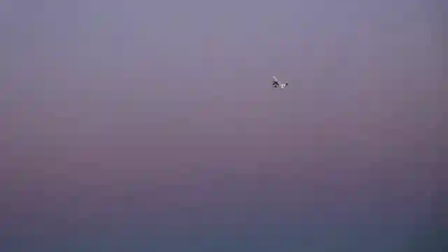 upgrade-your-night-flights-with-the-timber-x-evolution-rc-plane