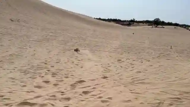 rc-adventure-at-silver-lake-sand-dunes-thrilling-duneland-shop-visit