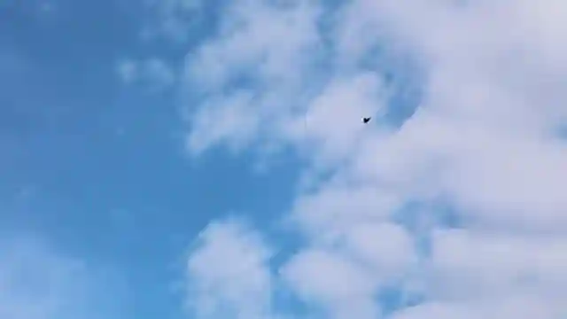 master-aerobatics-with-blade-235-cp-revolution-a-thrilling-showcase