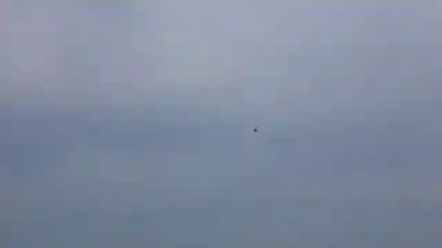 habu-xs80-mm-edf-rc-airplane-performance-and-horizon-hobby-insights