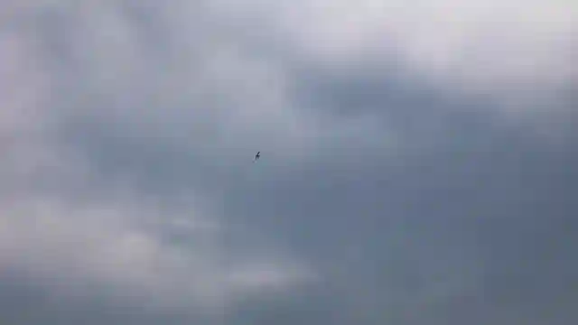 habu-xs80-mm-edf-rc-airplane-performance-and-horizon-hobby-insights