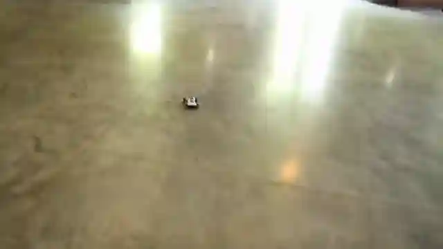 losi-micro-t-budget-friendly-stadium-truck-for-indoor-and-outdoor-rc-racing