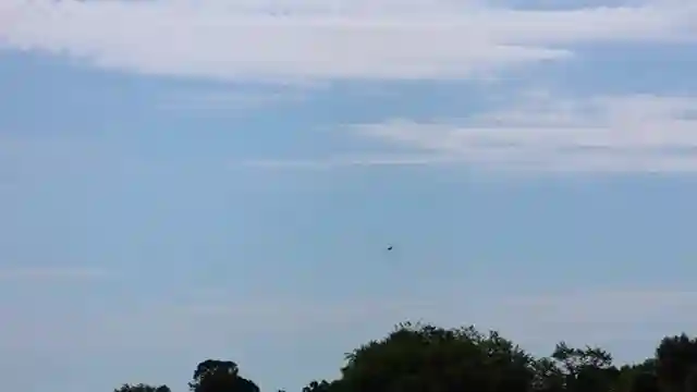 hobbyking-50mm-edf-4s-jet-review-affordable-power-and-performance